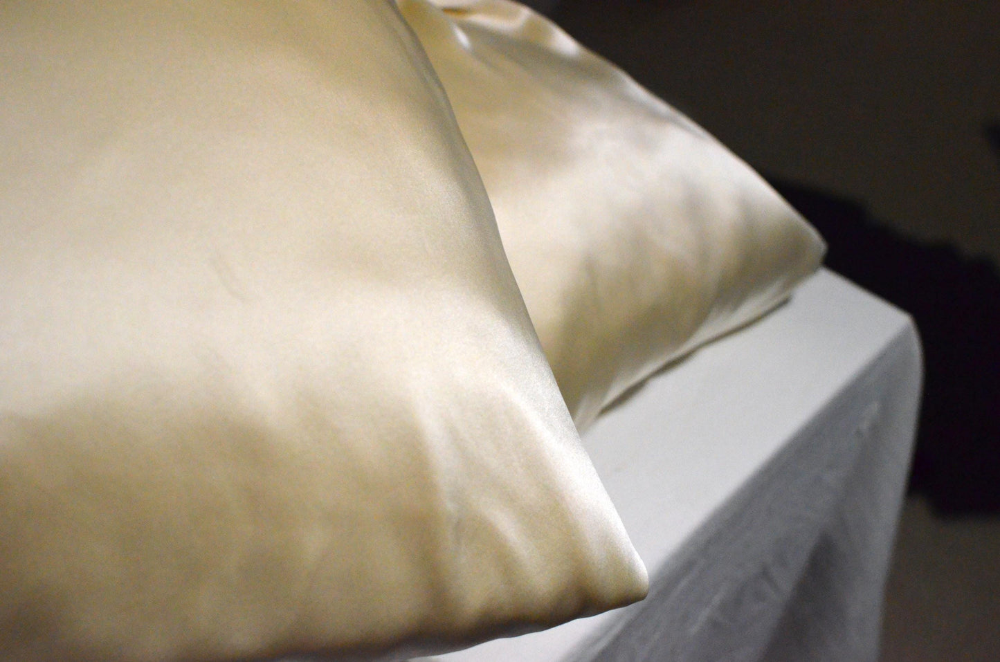 Mulberry Silk Pillowcases Set of 2: Luxury 19 Momme Oxford Style